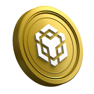 BNB, criptomoneda en la página de la guía del trader principiante
